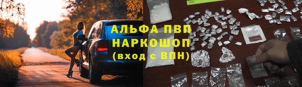крисы Алексин