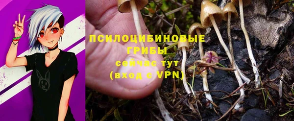 шишки Бугульма